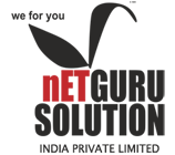 Netguru Solution Logo
